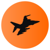 Pilotaggio e Gare