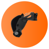 ProVolver Rear Cup